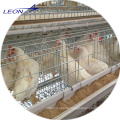 Leon series A-frame broiler and layer cage for chicken house